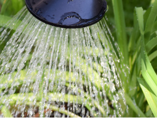Effectieve acquisitie geef de planten water